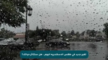 تغير جديد في طقس الإسكندرية اليوم.. هل ستتأثر حياتك؟